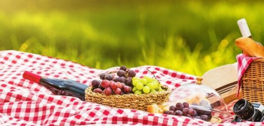 Jak przygotować letni piknik na łonie natury?