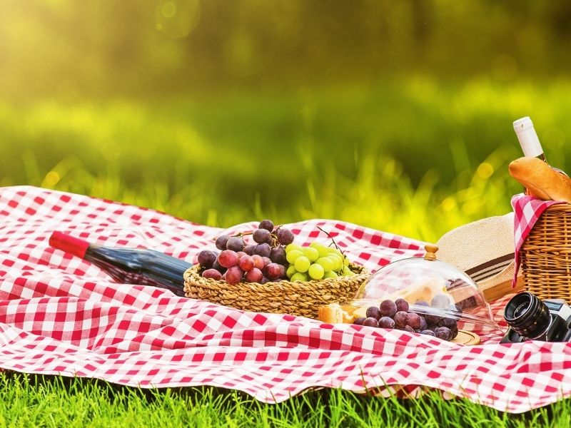 Jak przygotować letni piknik na łonie natury?